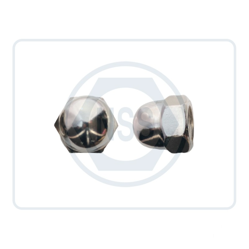 Dome Nut DIN1587 Pre-pack Dome Nut DIN1587 Pre-pack