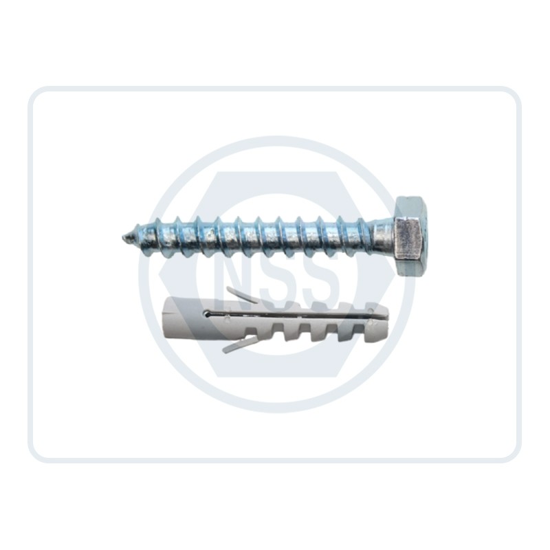 Coach Screw with Wallplug DIN571 Pre-Pack