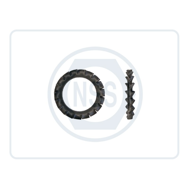 Lock Washers