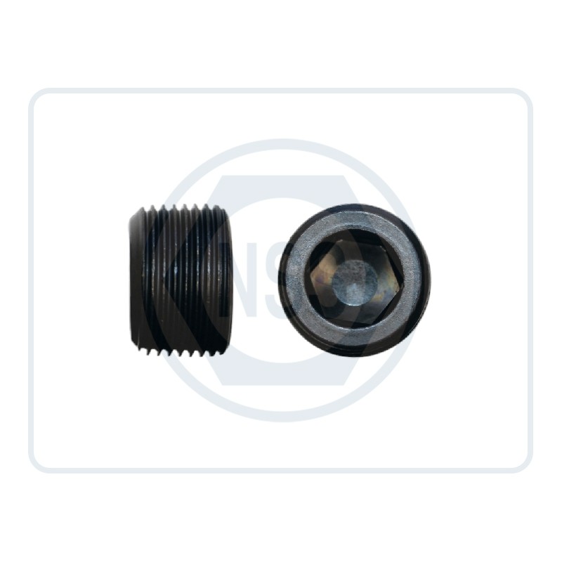 Gas Pipe Plug DIN906 Gas Pipe Plug DIN906