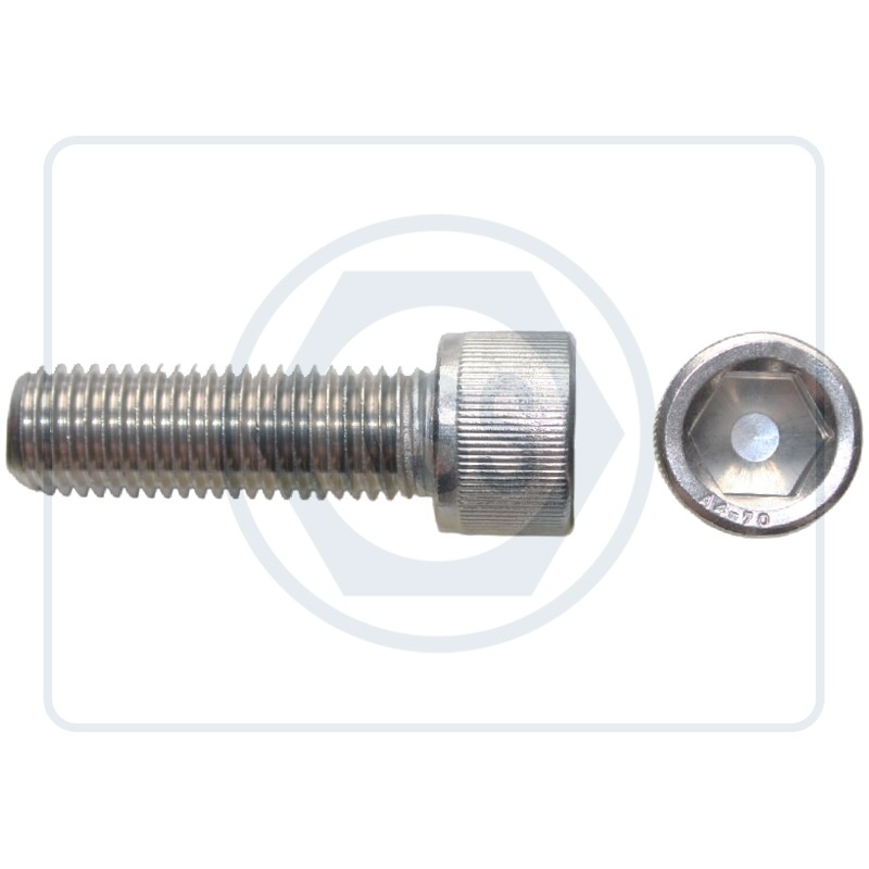 Cap Screw DIN912 Cap Screw DIN912