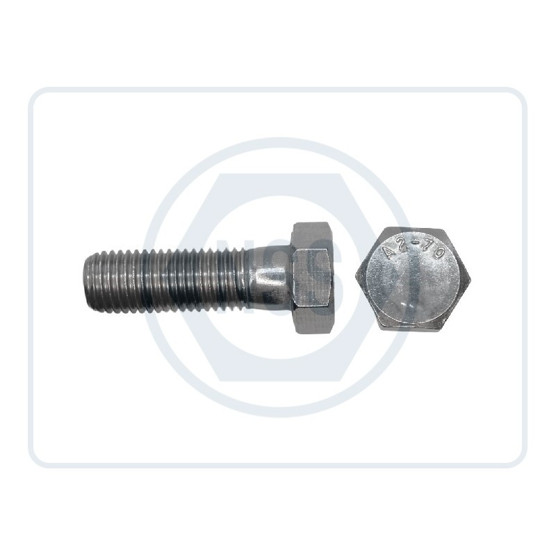 Hexagon Head Fasteners