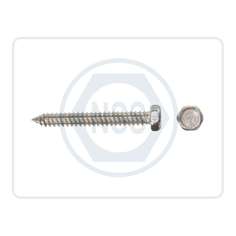 Self Tapping Screws